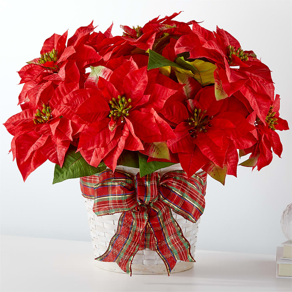 Happiest Holidays Poinsettia – Millennial Florist, Hartsdale NY