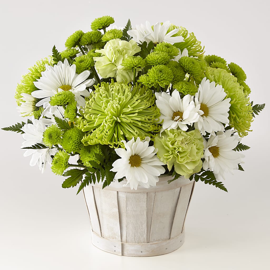 Lucky Charm Basket (Standard) – Millennial Florist, Hartsdale NY