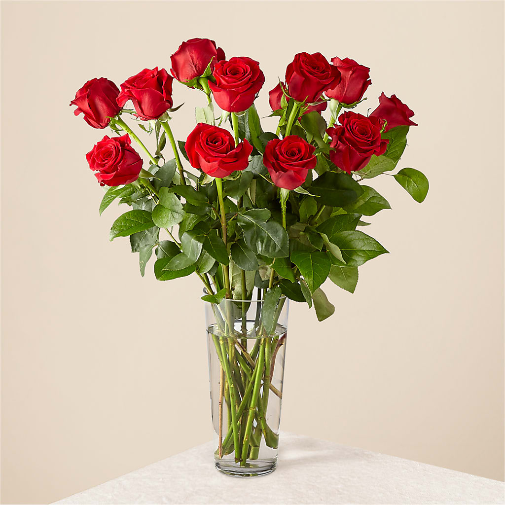 Long Stem Red Rose Bouquet – Millennial Florist, Hartsdale NY
