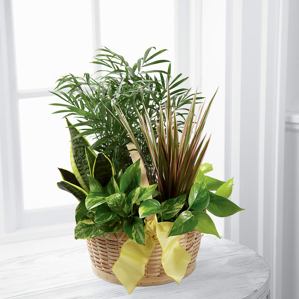 French Garden – Millennial Florist, Hartsdale NY