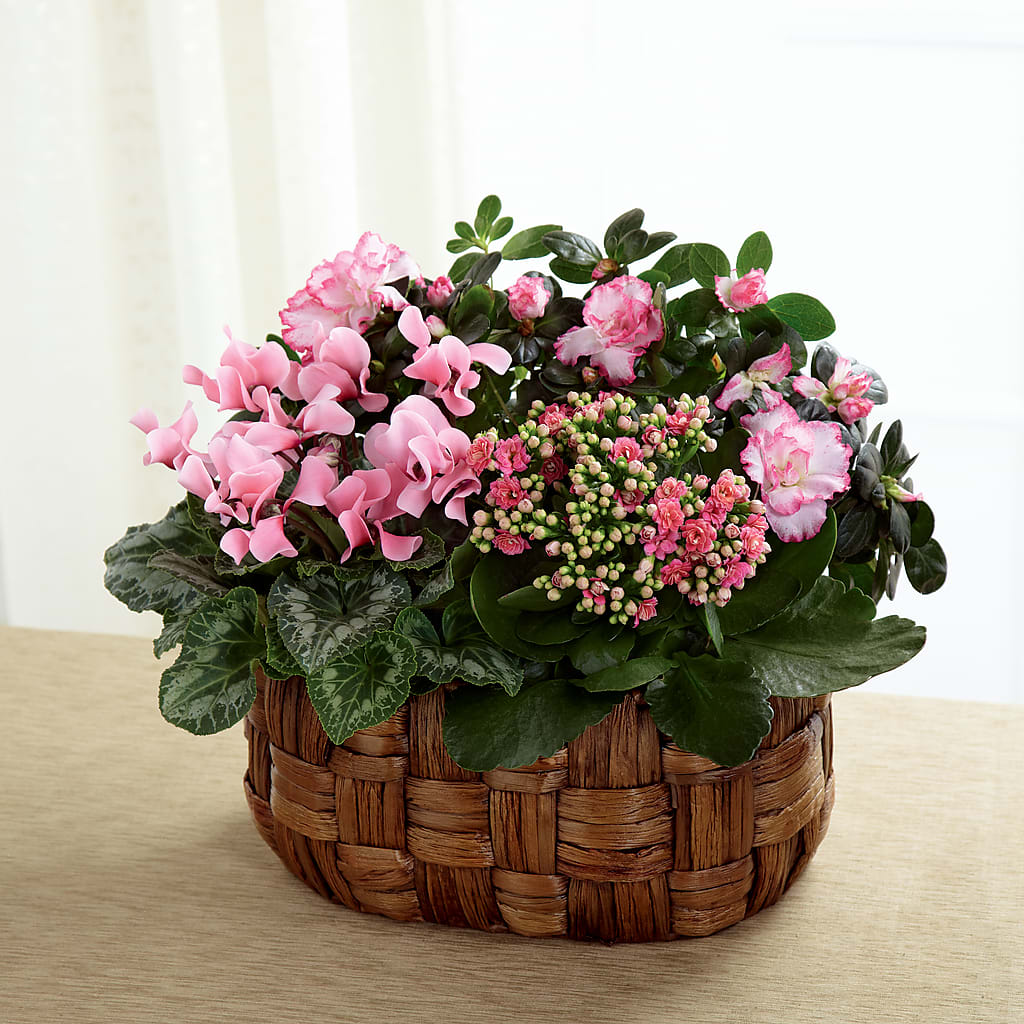 Pink Assortment – Millennial Florist, Hartsdale NY