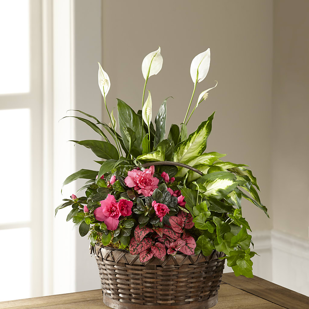 Dream in Pink Dishgarden – Millennial Florist, Hartsdale NY