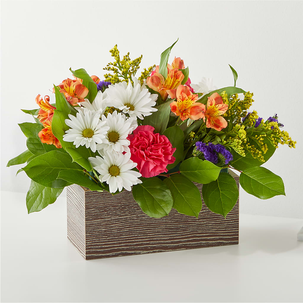 Oopsie Daisy Box Bouquet – Millennial Florist, Hartsdale NY