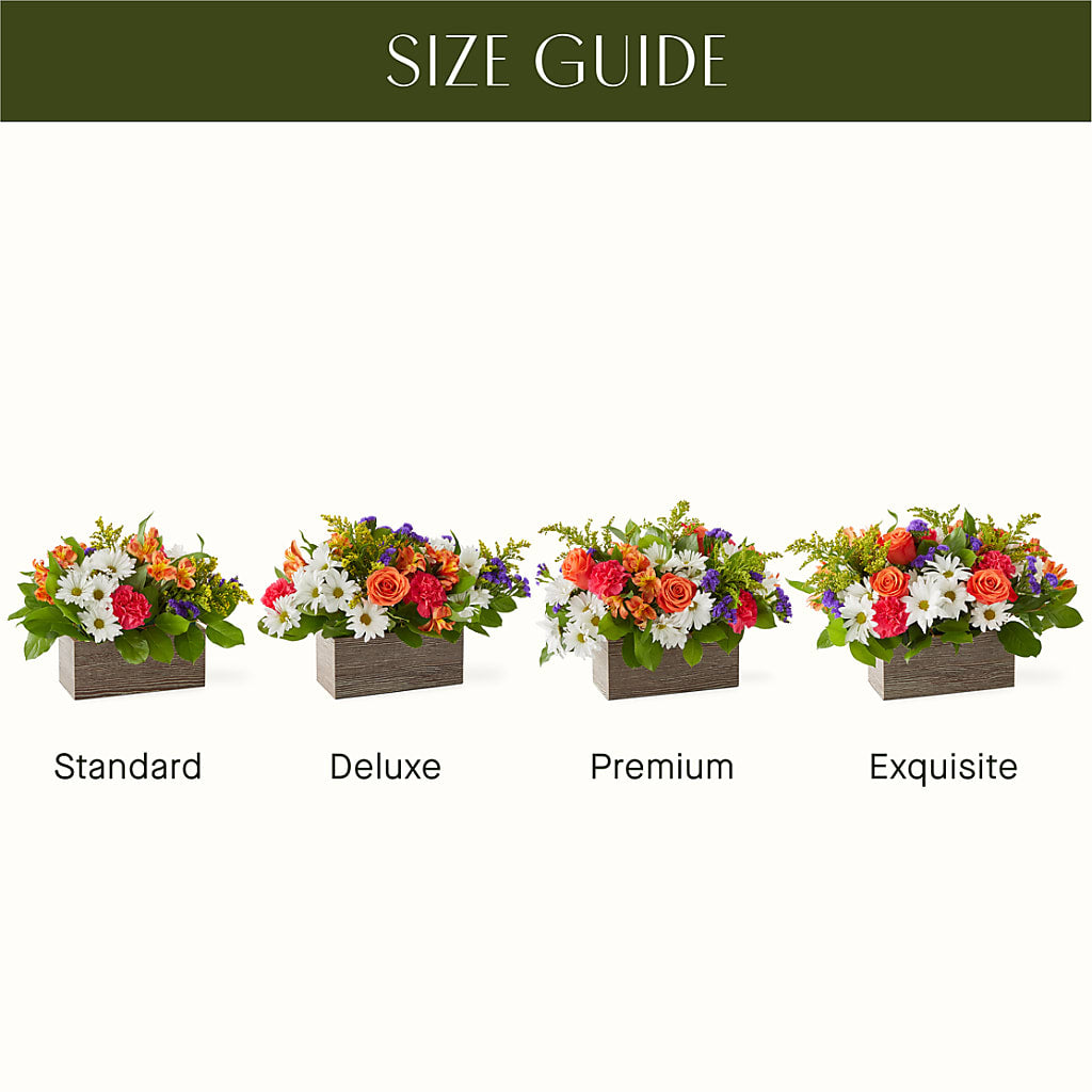 Oopsie Daisy Box Bouquet – Millennial Florist, Hartsdale NY
