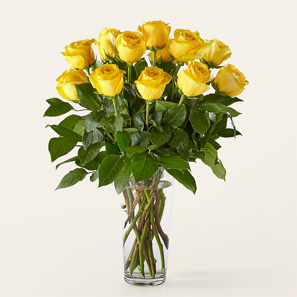 Long Stem Yellow Rose Bouquet – Millennial Florist, Hartsdale NY