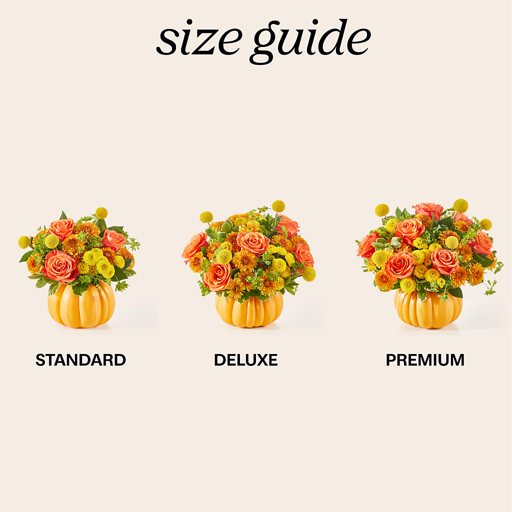 Gourdgeous Pumpkin – Millennial Florist, Hartsdale NY