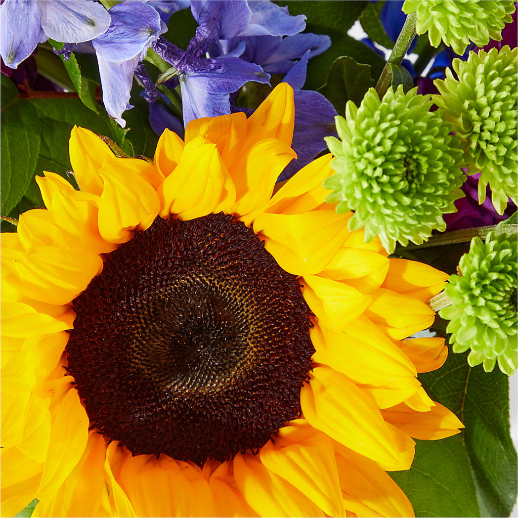 Catching Rays Bouquet – Millennial Florist, Hartsdale NY