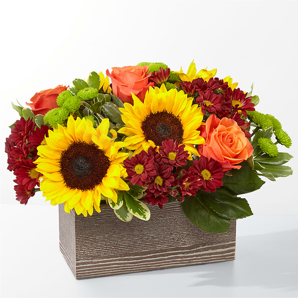 Happy Harvest Garden – Millennial Florist, Hartsdale NY