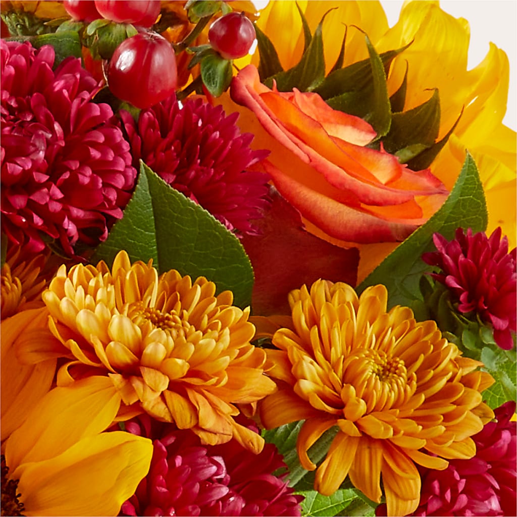 Sweater Season - A Florist Original – Millennial Florist, Hartsdale NY