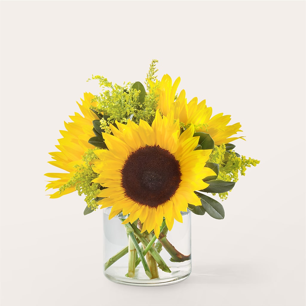 Beaming Sunflower Bouquet – Millennial Florist, Hartsdale NY