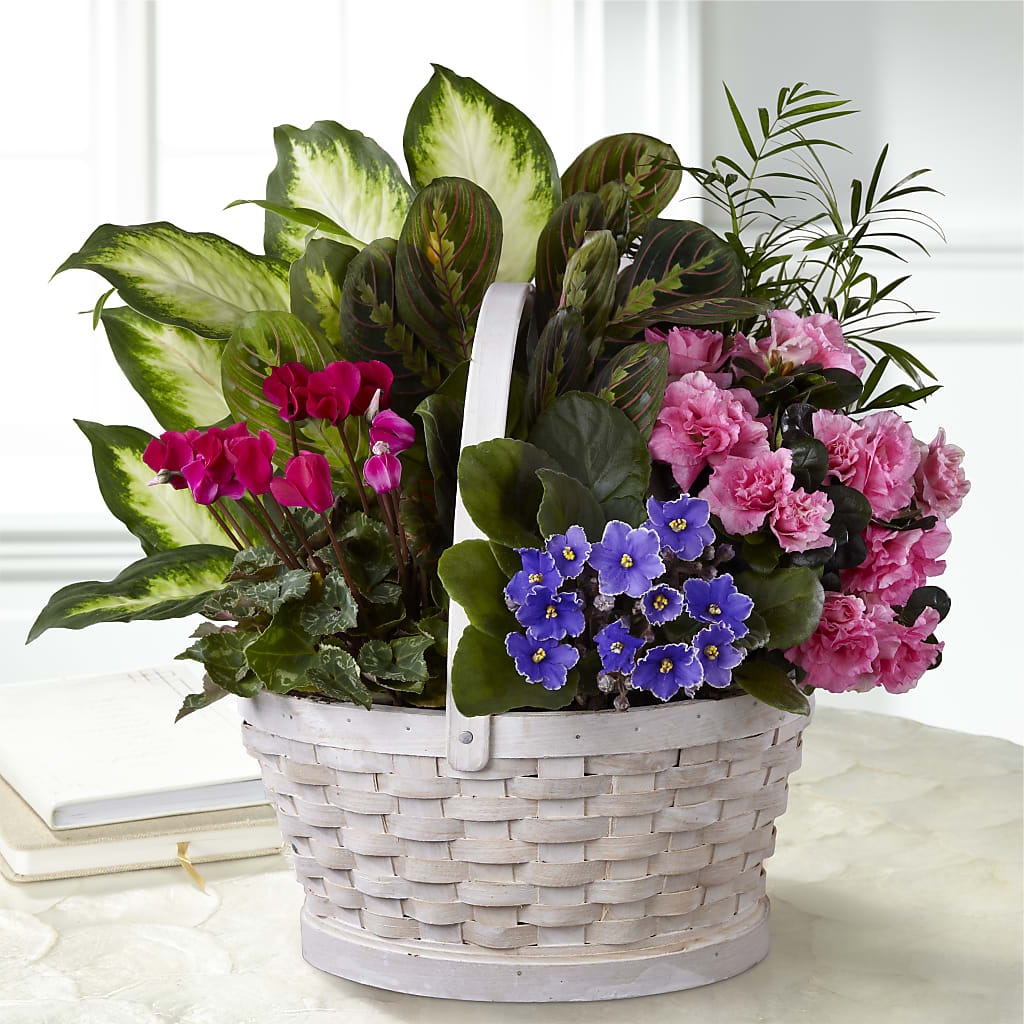 Peaceful Garden Planter – Millennial Florist, Hartsdale NY