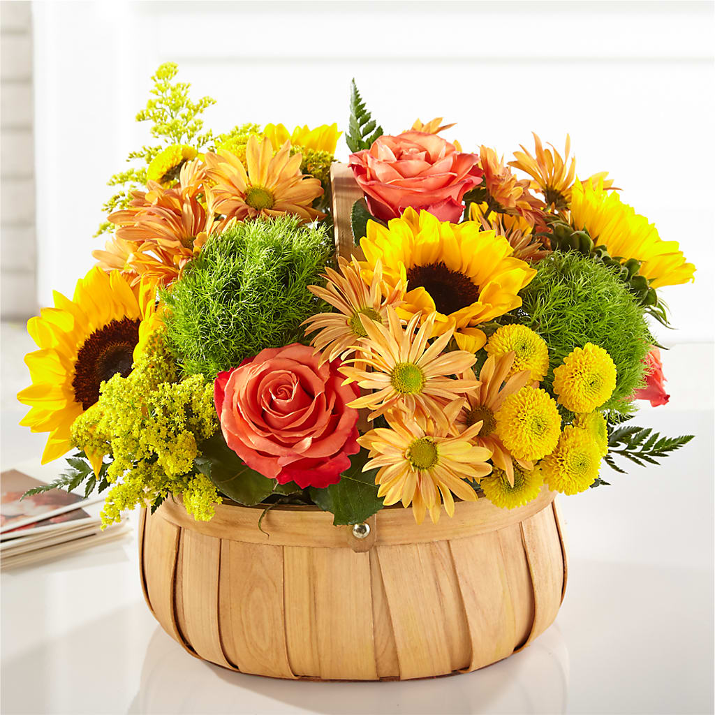 Harvest Sunflower Basket – Millennial Florist, Hartsdale NY
