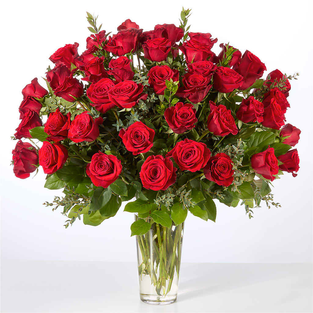 Forever Yours Fifty Stem Red Rose Bouquet – Millennial Florist, Hartsdale NY