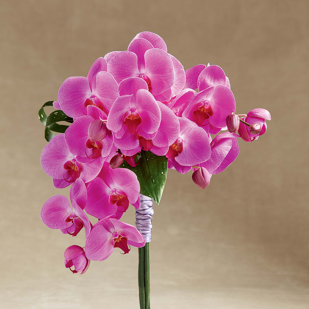 Glorious Bouquet – Millennial Florist, Hartsdale NY
