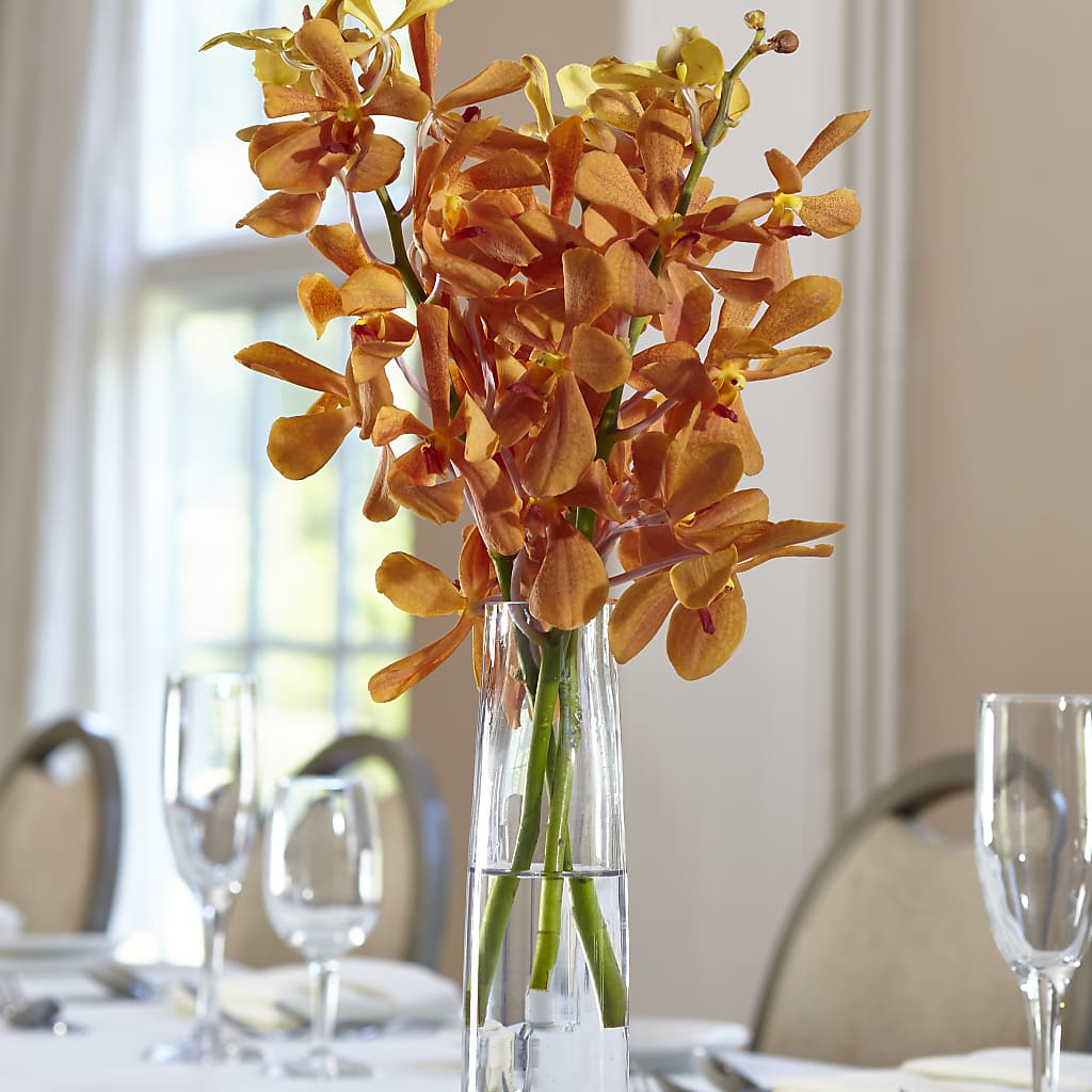 Orange Mokara Bud Vase – Millennial Florist, Hartsdale NY