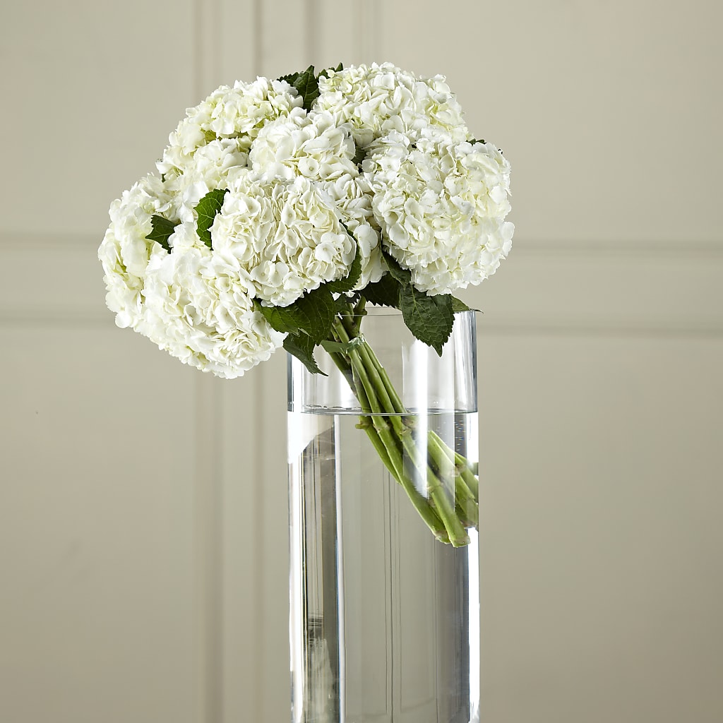 White Hydrangea Hand-Tied Bouquet – Millennial Florist, Hartsdale NY
