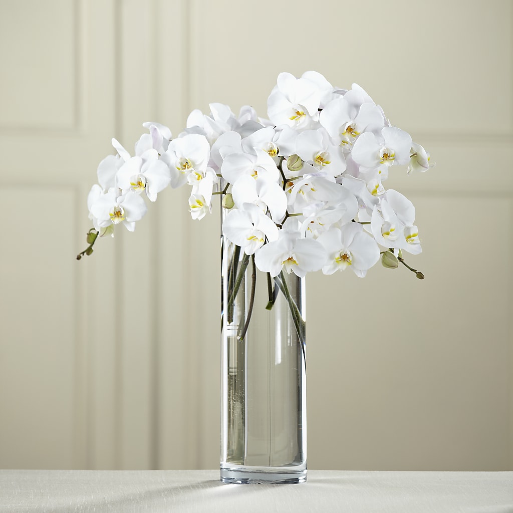 White Phalaenopsis Bouquet – Millennial Florist, Hartsdale NY