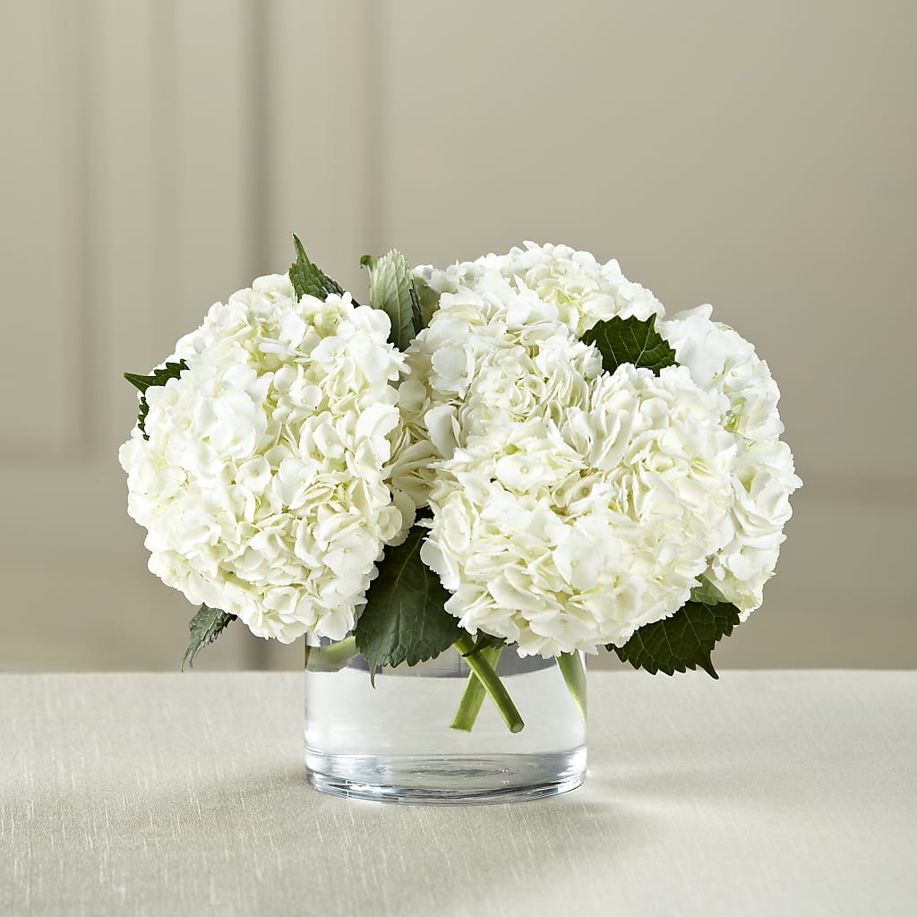 White Hydrangea Bouquet – Millennial Florist, Hartsdale NY