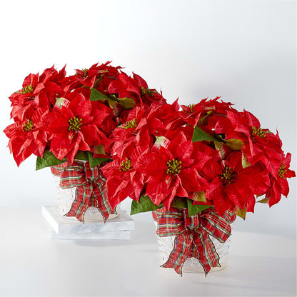 Happiest Holidays Poinsettia Bundle –  Millennial Florist, Hartsdale NY