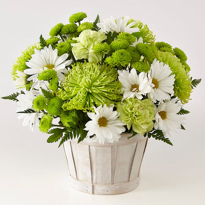 Lucky Charm Basket (Standard) –  Millennial Florist, Hartsdale NY