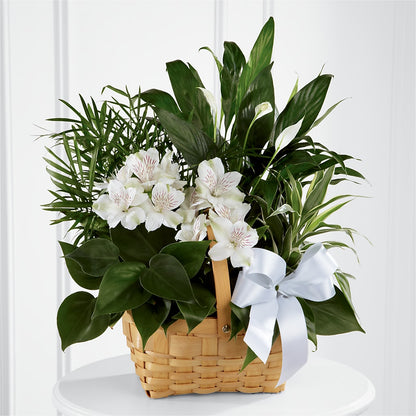 Peace & Serenity Dishgarden –  Millennial Florist, Hartsdale NY