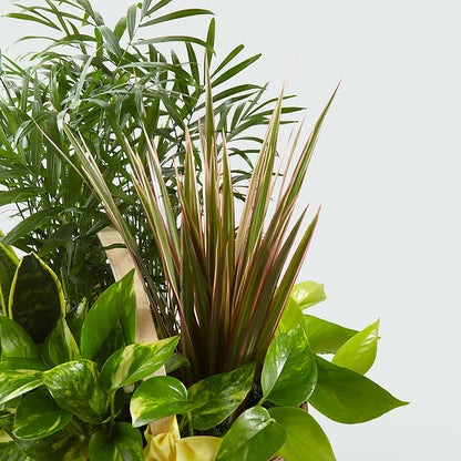 French Garden –  Millennial Florist, Hartsdale NY