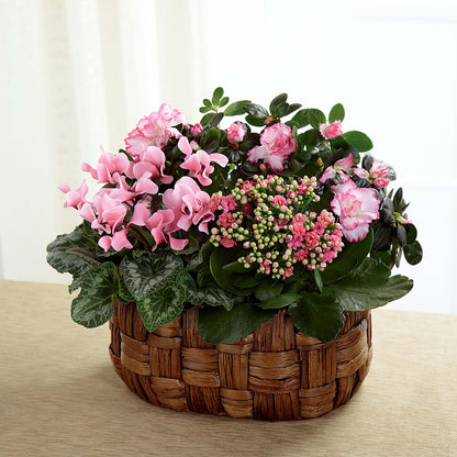 Pink Assortment –  Millennial Florist, Hartsdale NY
