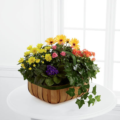 Gentle Blossoms Basket –  Millennial Florist, Hartsdale NY