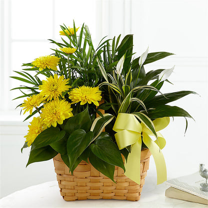 Loving Light Dishgarden –  Millennial Florist, Hartsdale NY