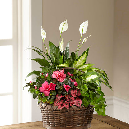 Dream in Pink Dishgarden –  Millennial Florist, Hartsdale NY