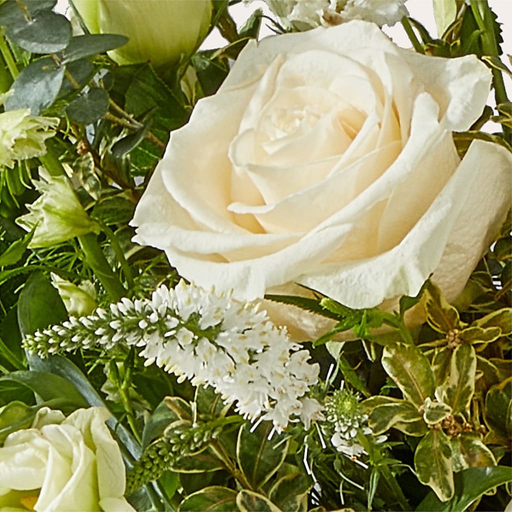 Cashmere Bouquet –  Millennial Florist, Hartsdale NY