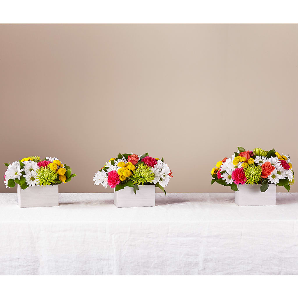 Sorbet Bouquet –  Millennial Florist, Hartsdale NY
