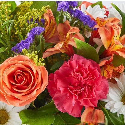Oopsie Daisy Box Bouquet –  Millennial Florist, Hartsdale NY