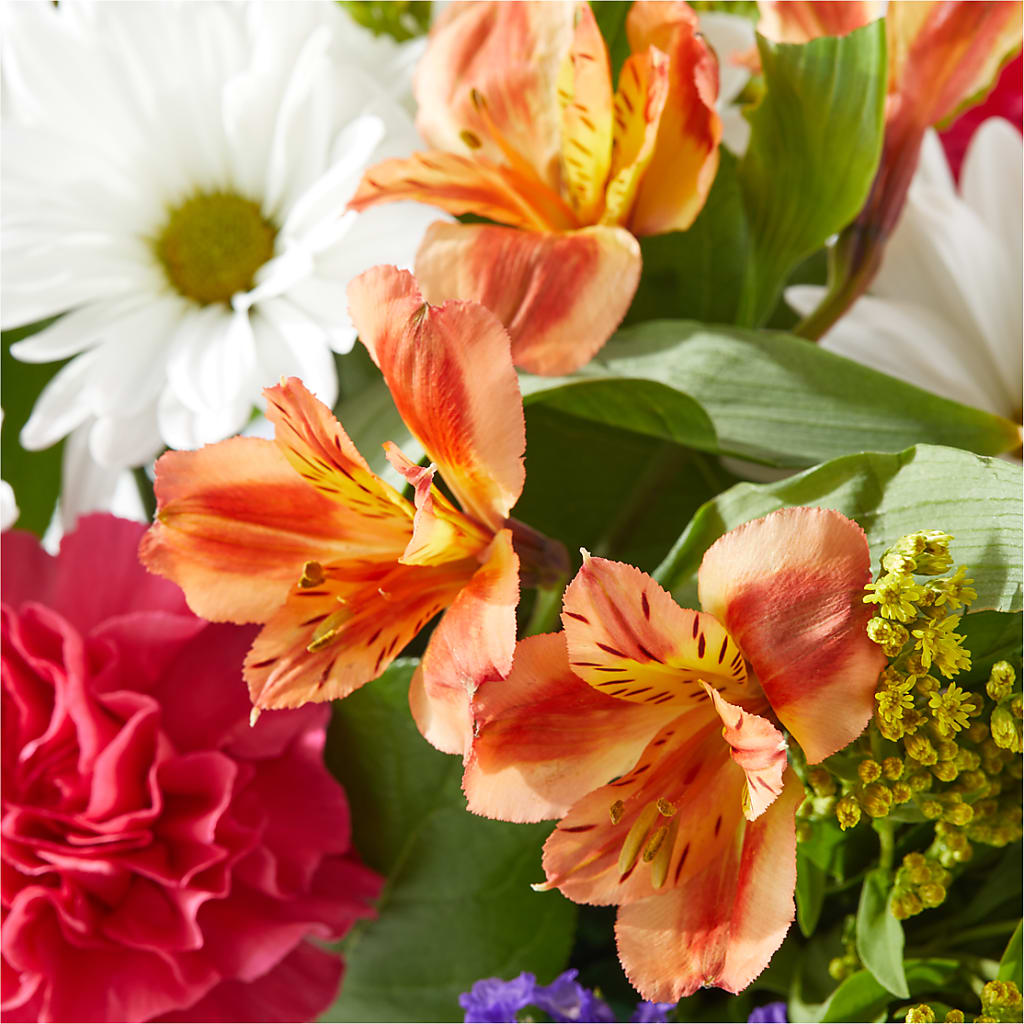 Oopsie Daisy Box Bouquet –  Millennial Florist, Hartsdale NY