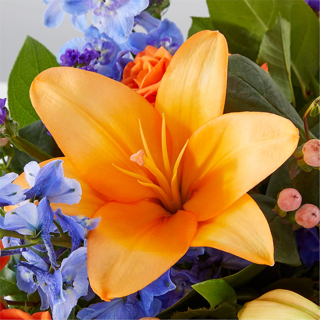 Radiant Citrus Box Bouquet –  Millennial Florist, Hartsdale NY