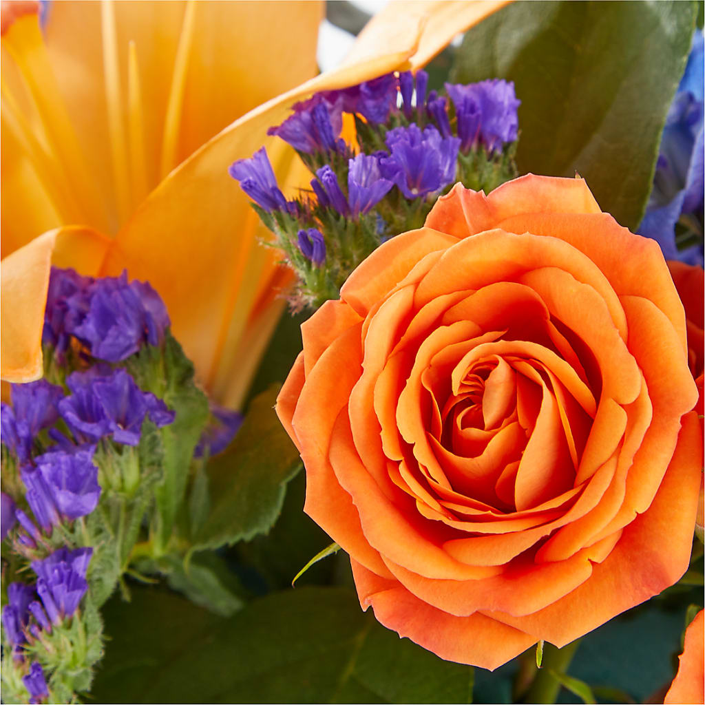 Radiant Citrus Box Bouquet –  Millennial Florist, Hartsdale NY