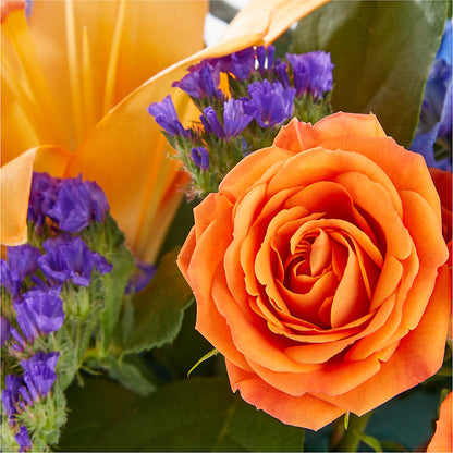 Radiant Citrus Box Bouquet –  Millennial Florist, Hartsdale NY