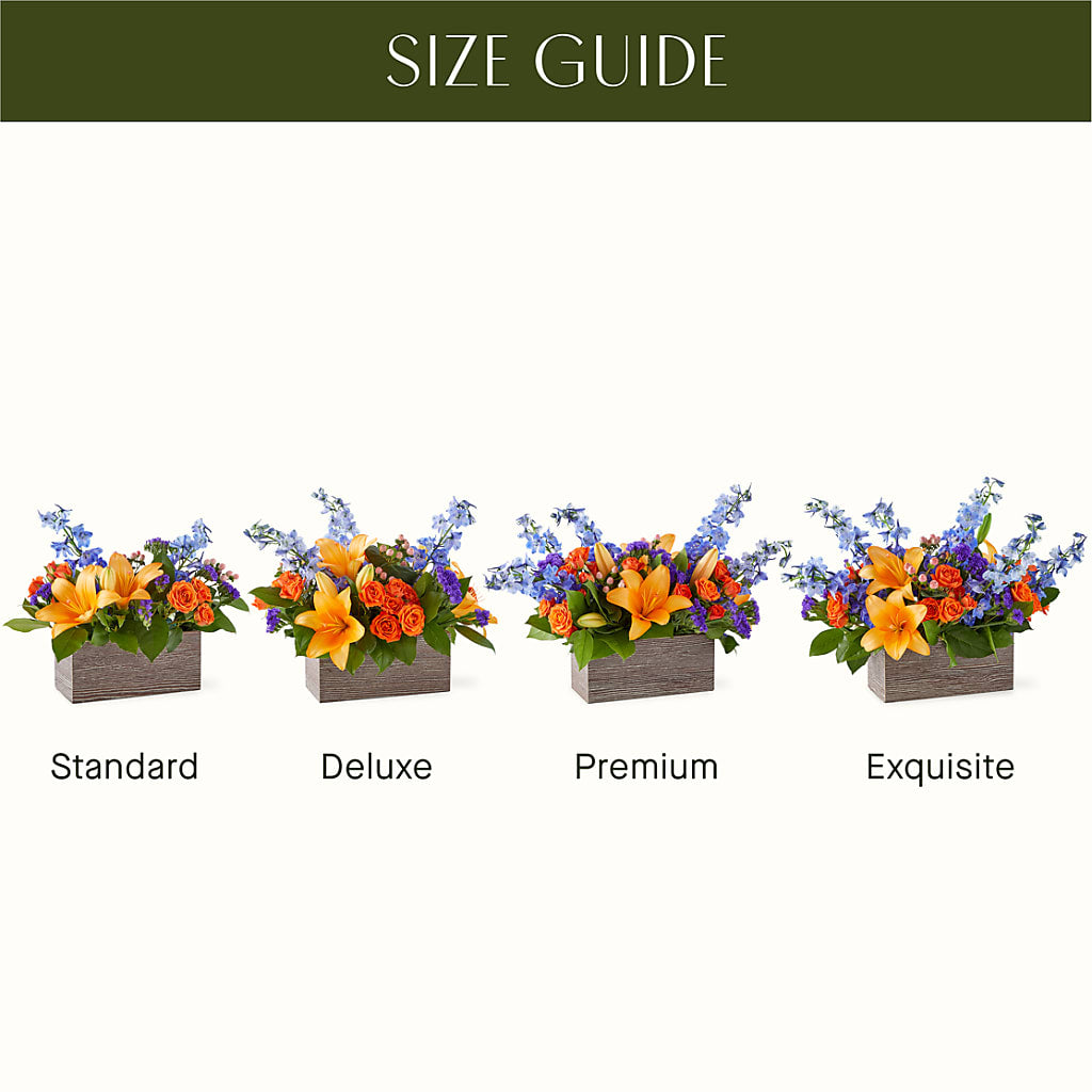 Radiant Citrus Box Bouquet –  Millennial Florist, Hartsdale NY
