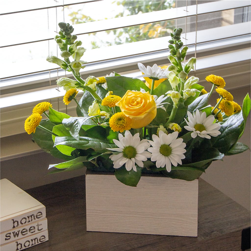 Sun Salutation Box Bouquet –  Millennial Florist, Hartsdale NY