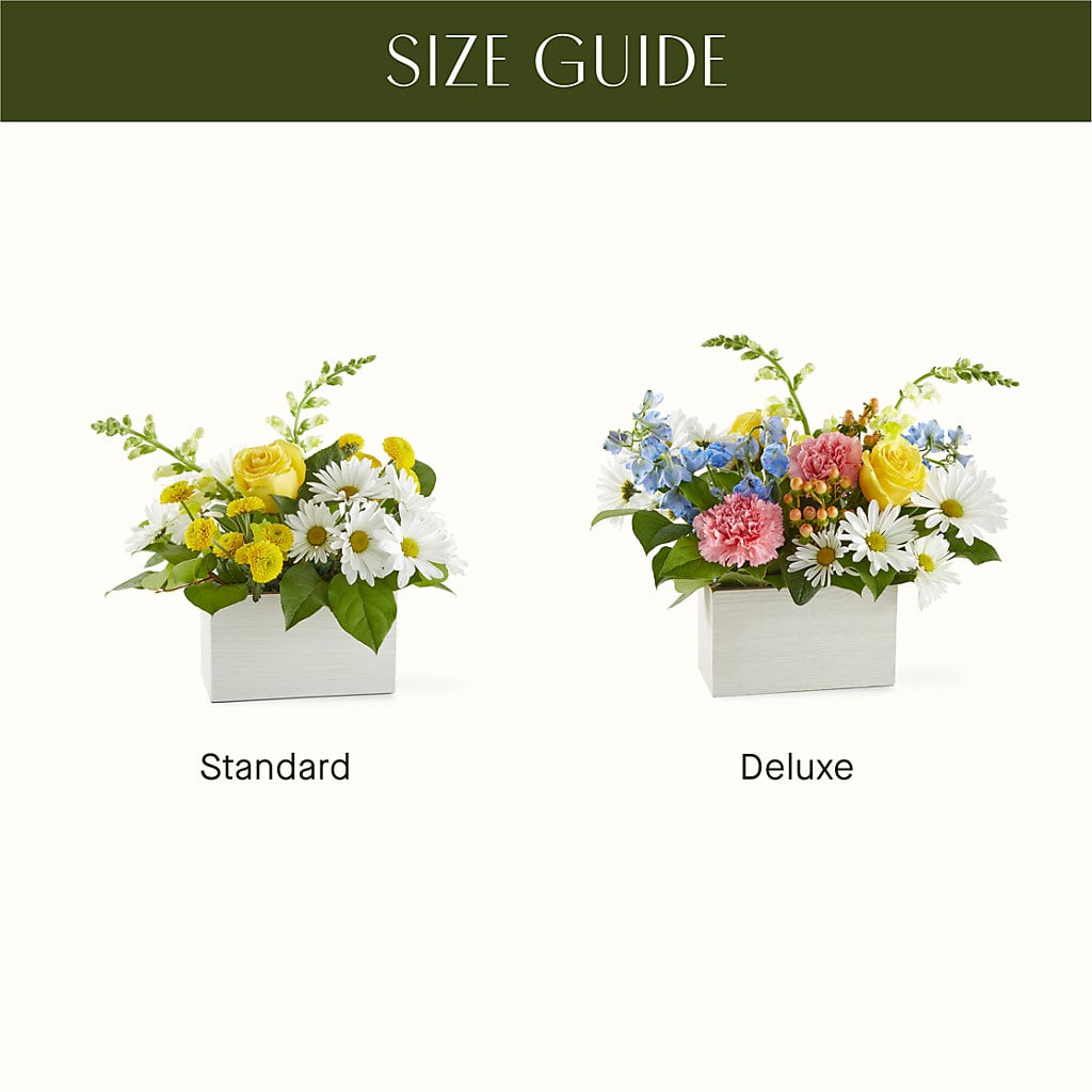 Sun Salutation Box Bouquet –  Millennial Florist, Hartsdale NY