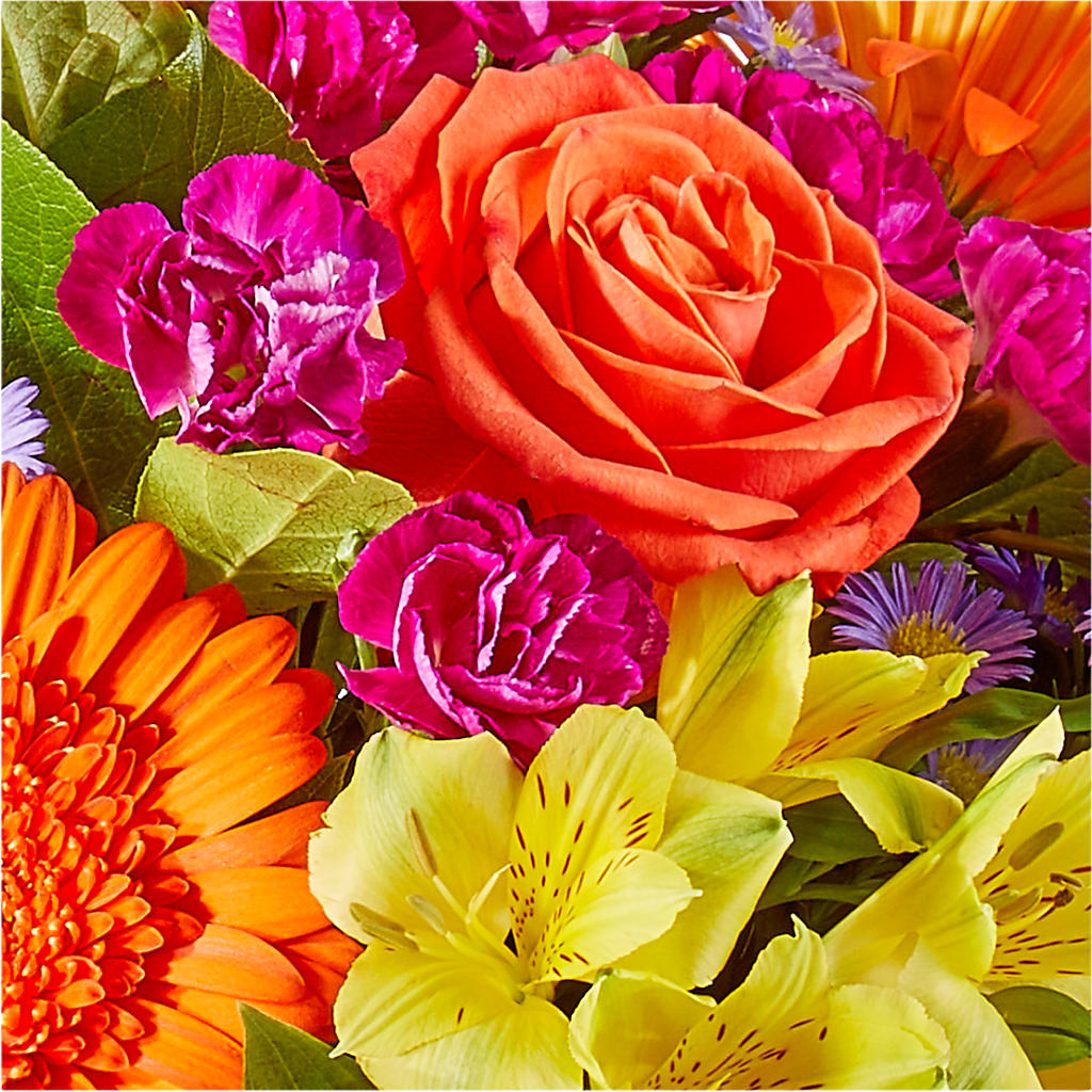 Tricks & Treats Pumpkin –  Millennial Florist, Hartsdale NY