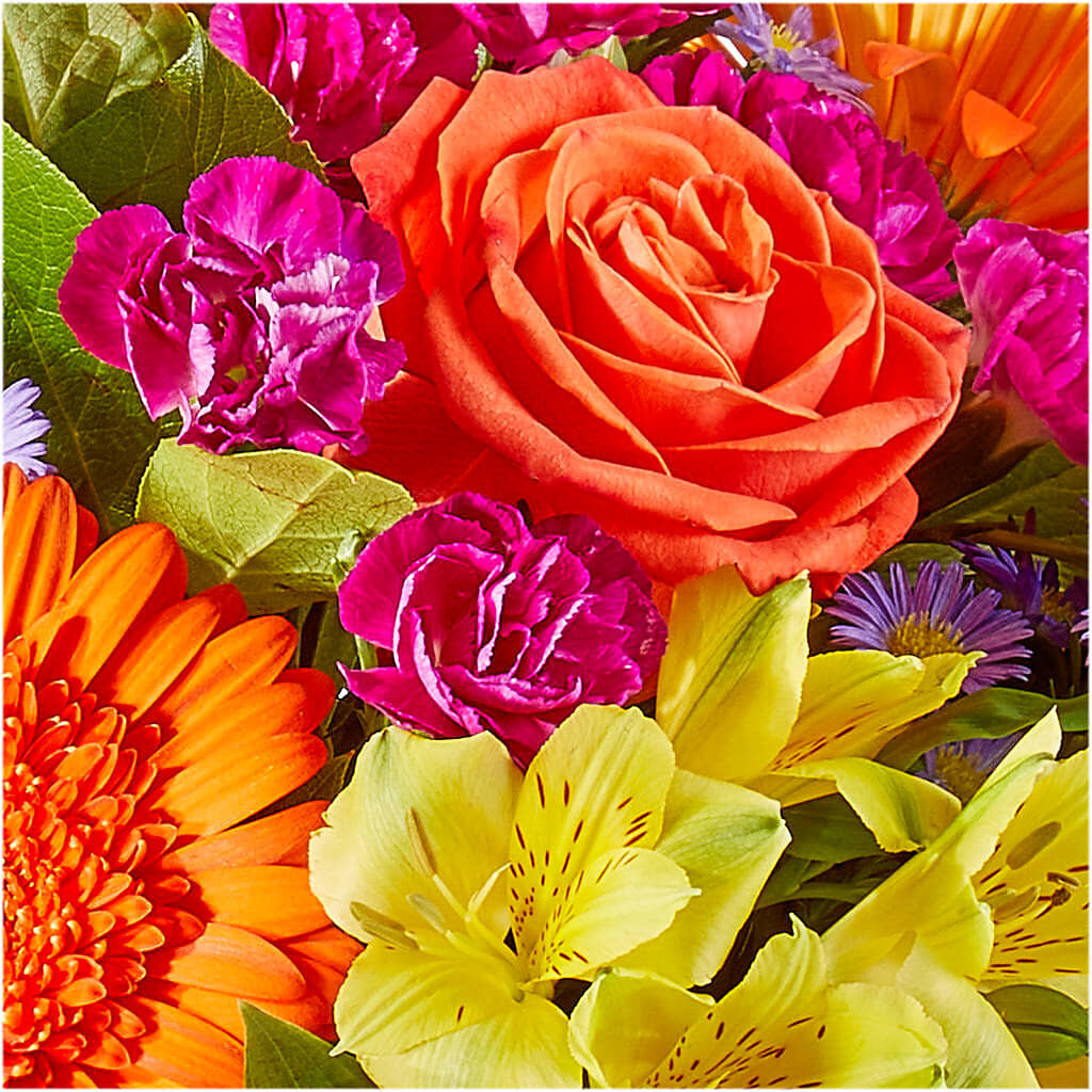Tricks & Treats Pumpkin –  Millennial Florist, Hartsdale NY