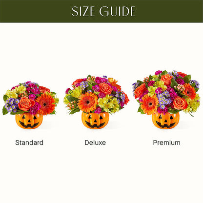 Tricks & Treats Pumpkin –  Millennial Florist, Hartsdale NY