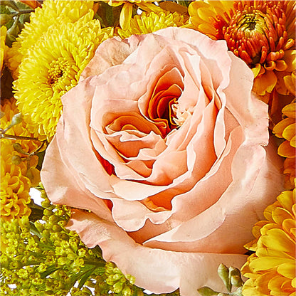 Peachy Pumpkin –  Millennial Florist, Hartsdale NY