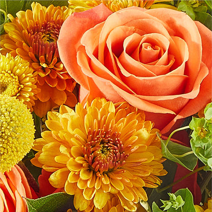 Gourdgeous Pumpkin –  Millennial Florist, Hartsdale NY