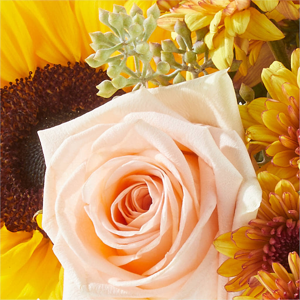 Pumpkin to Talk About Bouquet –  Millennial Florist, Hartsdale NY