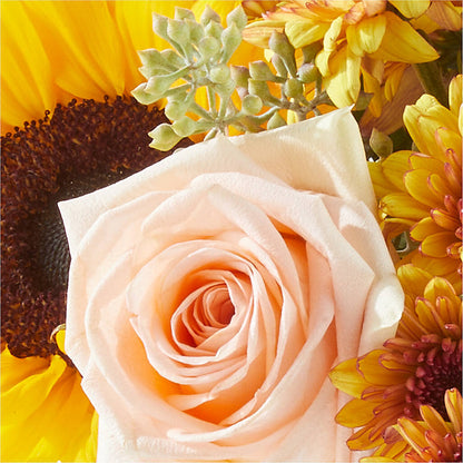 Pumpkin to Talk About Bouquet –  Millennial Florist, Hartsdale NY