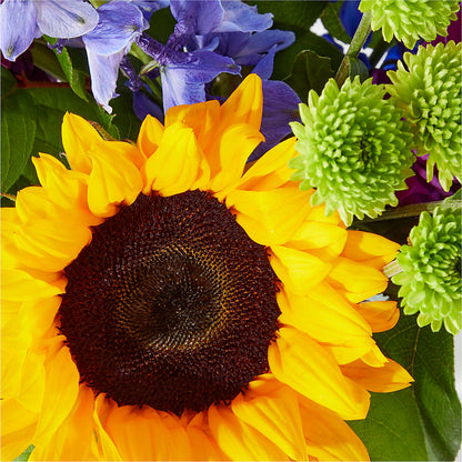 Catching Rays Bouquet –  Millennial Florist, Hartsdale NY