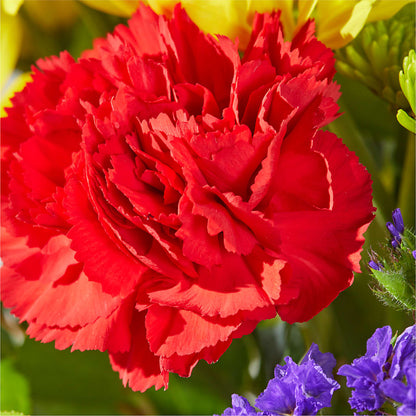 Brighter Days Bouquet –  Millennial Florist, Hartsdale NY