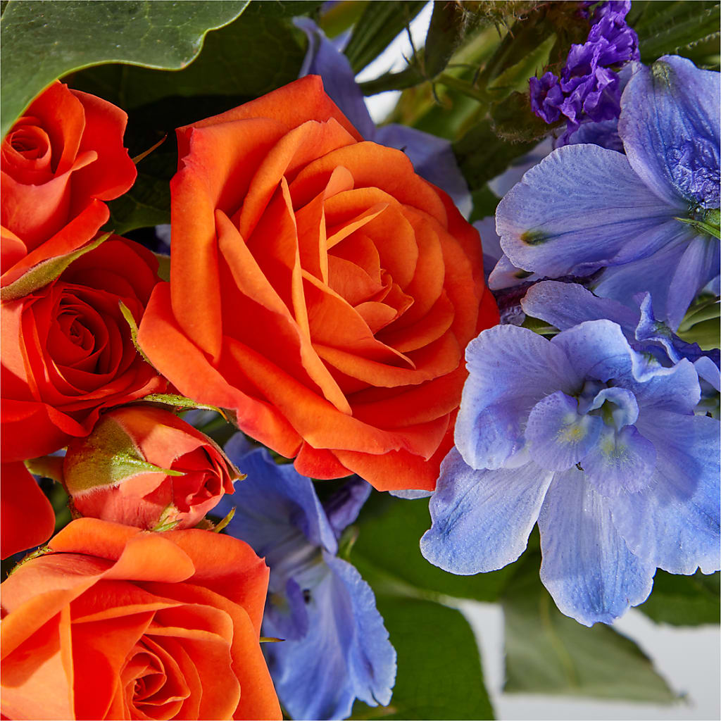 Radiant Citrus Bouquet –  Millennial Florist, Hartsdale NY